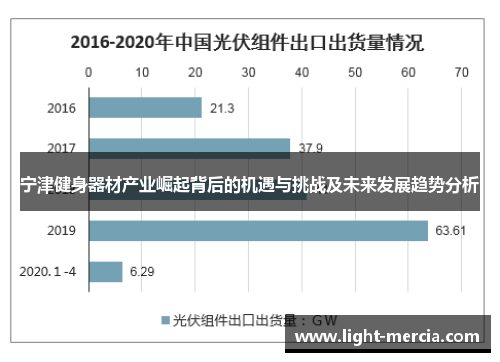 宁津健身器材产业崛起背后的机遇与挑战及未来发展趋势分析